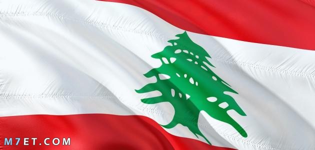 سبب تسمية لبنان بهذا الاسم واهم المعلومات عنها صورة رقم 1