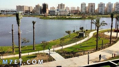 Photo of أول مدينة بناها عمرو بن العاص