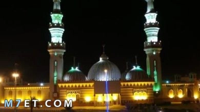 Photo of اهم المعلومات عن مدينة عرعر السعودية