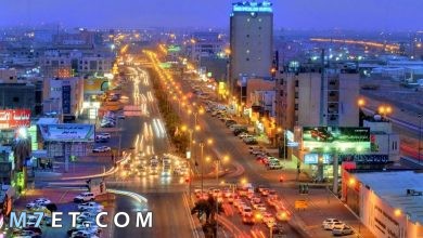 Photo of مدينة الاحساء في السعودية