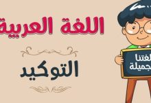 Photo of ما هي أدوات التوكيد في اللغة العربية