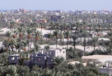 Photo of أهم المعلومات حول مدينة دير البلح