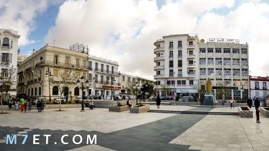 Photo of أهم المعلومات حول مدينة معسكر