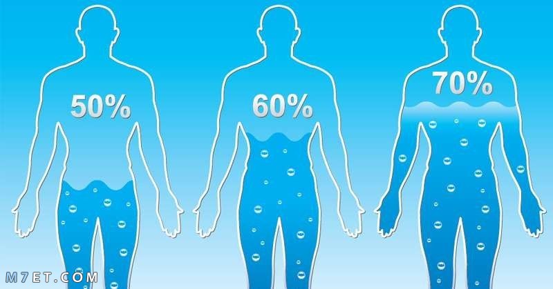 نسبة الماء في الجسم