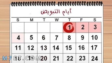 Photo of جدول أيام التبويض للحمل بولد