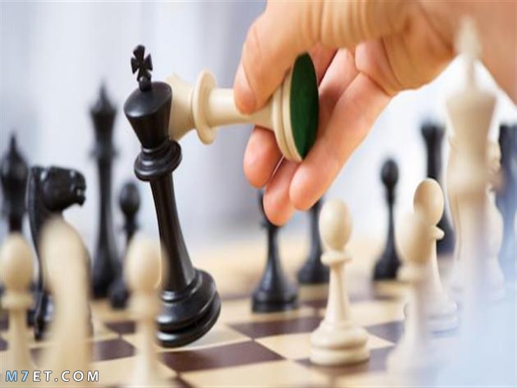 حكم لعب الشطرنج