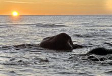 Photo of خواطر عن البحر عبارات جميلة عن البحر