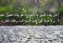 Photo of خواطر عن المطر كلمات جميلة عن المطر