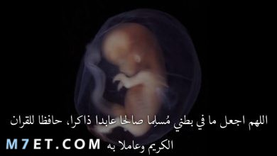 Photo of دعاء للجنين أفضل 100 دعاء لحفظ الجنين وتثبيت الحمل