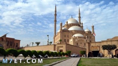 Photo of قاعة مسجد محمد علي من الداخل والفرق بينها وبين قلعة صلاح الدين