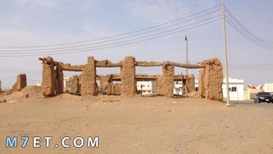 Photo of أهم المعلومات حول مدينة ثول