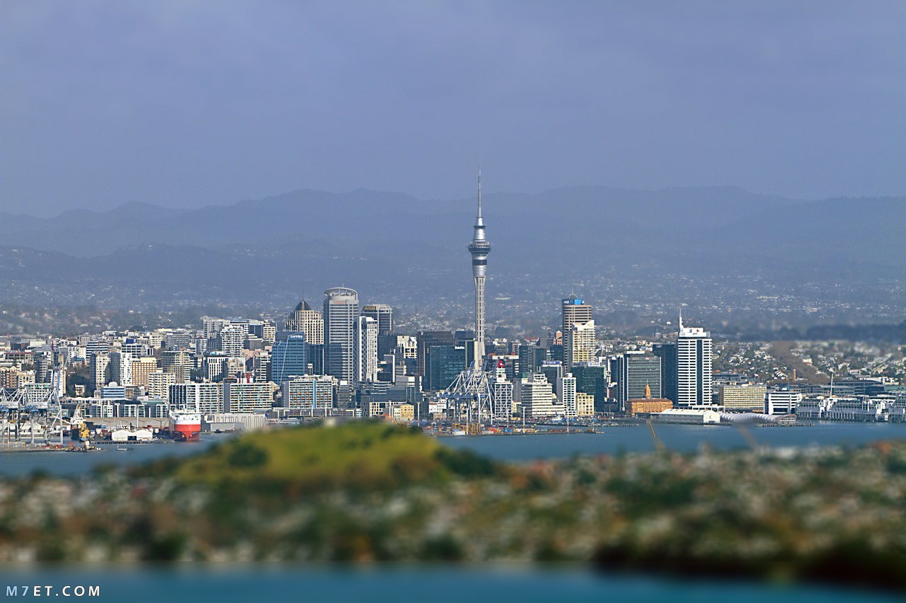 مدن نيوزيلندا