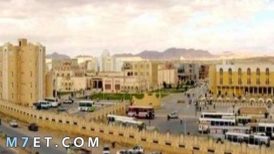 Photo of أهم المعلومات حول مدينة بسكرة