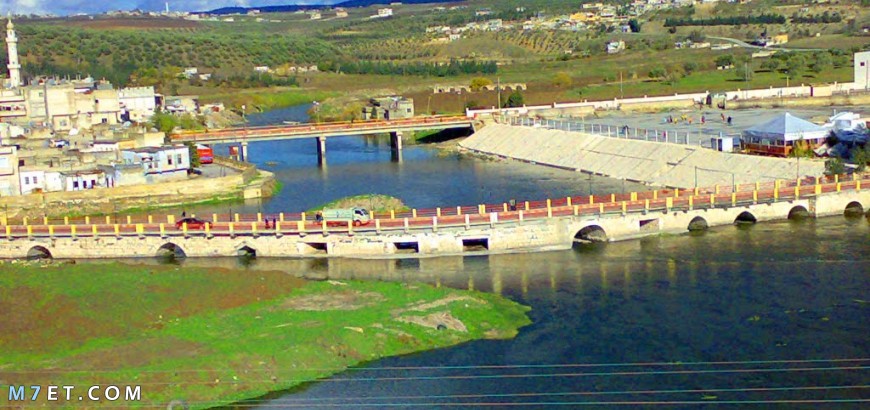 مدينة جسر الشغور