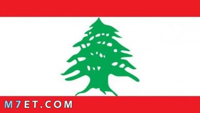 Photo of أهم المعلومات حول مدينة عرسال في لبنان