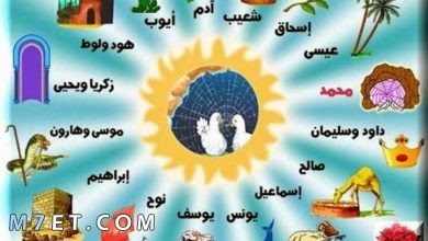 Photo of ترتيب الانبياء | كم عدد الانبياء والرسل وترتيبهم