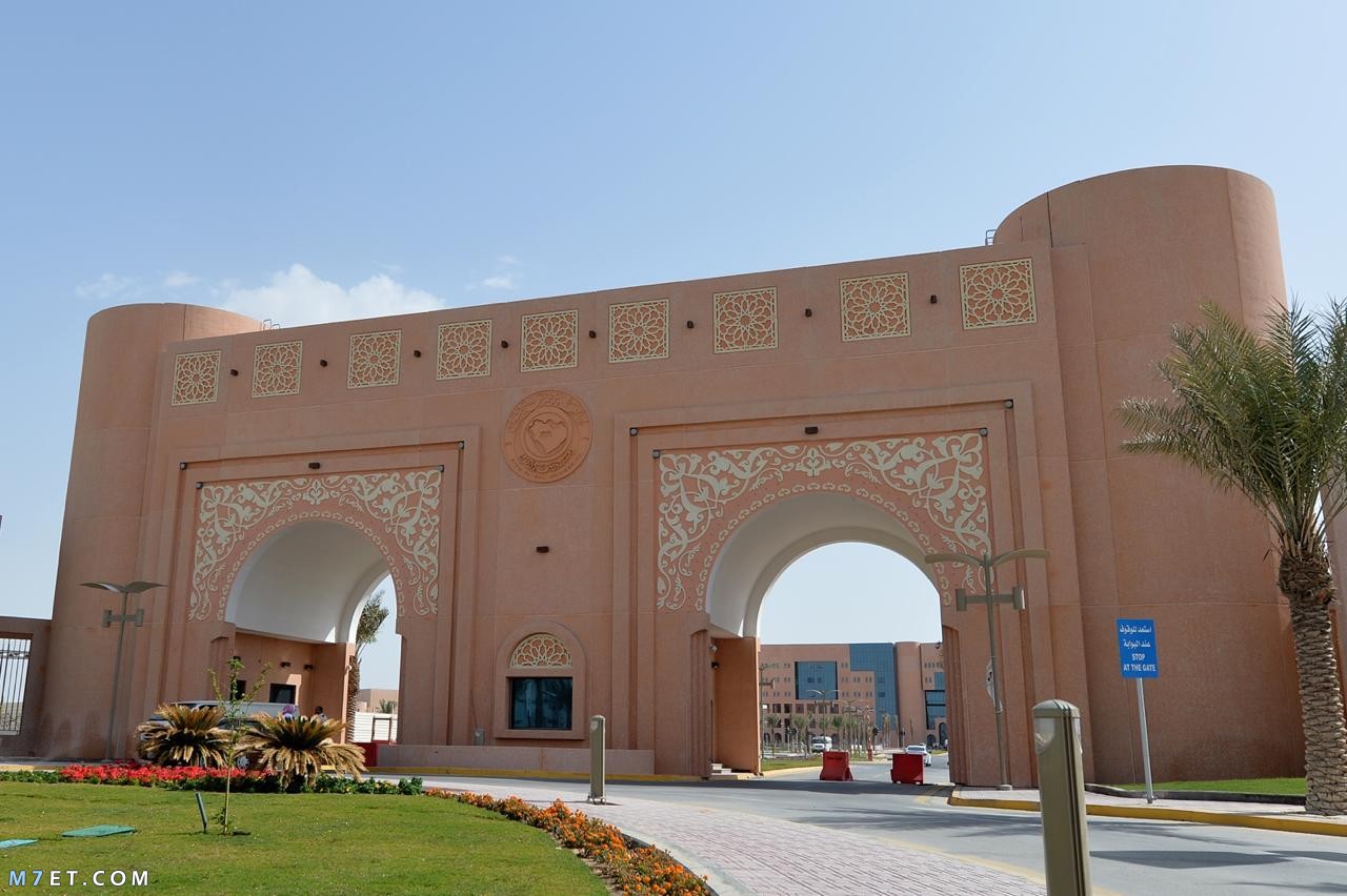 جامعة الملك فيصل بوابة القبول