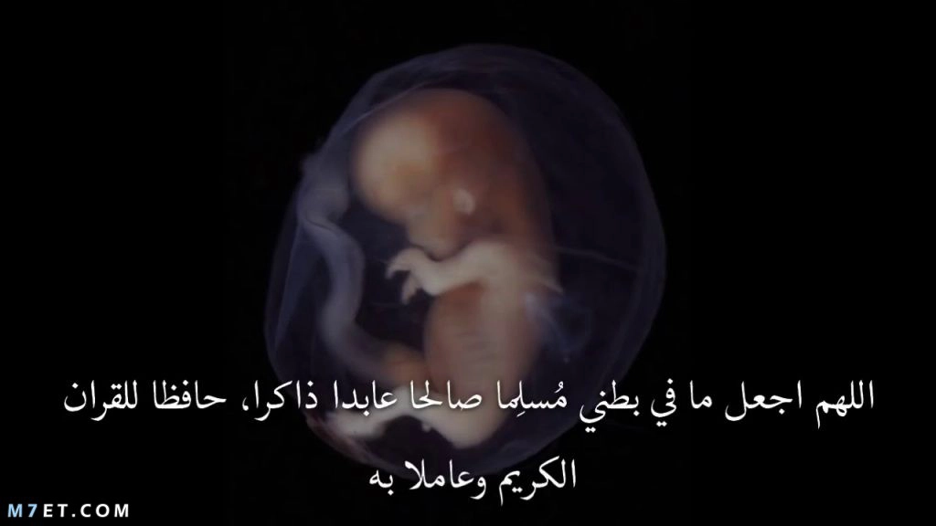 دعاء تثبيت الحمل ادعية من السنة لحفظ الجنين