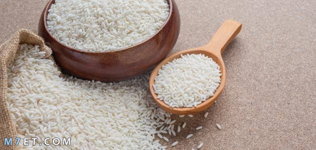ما هي أكبر دولة منتجة للأرز والقمح في العالم
