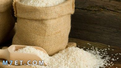 Photo of ما هي أكبر دولة منتجة للأرز والقمح في العالم