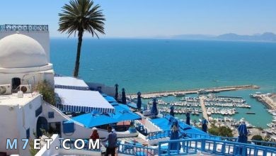 Photo of أهم المعلومات حول مدينة جمال التونسية