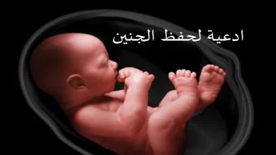Photo of تحصين الجنين أدعية لحفظ الجنين وتثبيت الحمل