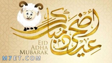 Photo of تهنئة عيد الاضحى ورسائل عيد الأضحى للحبيب