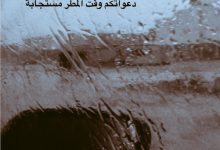 Photo of حالات عن المطر واجمل كلمات عن المطر والعشق