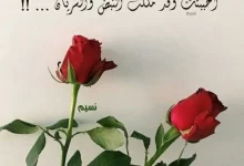 Photo of خواطر في الشوق واجمل خواطر اشتياق وحنين
