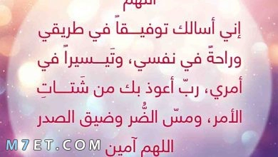 Photo of دعاء للاختبارات بالتوفيق ادعية تسهيل الامتحان والنجاح