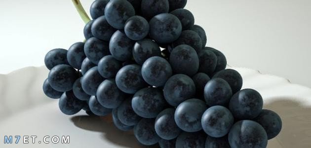 فوائد العنب الأسود