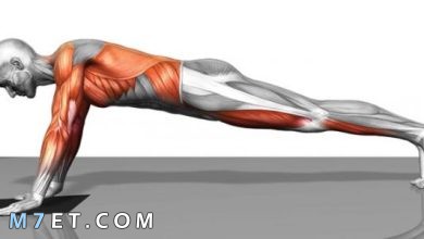 Photo of عضلات البطن | أقوى تمارين لشد عضلات البطن في المنزل