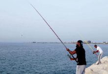 Photo of متى موسم صيد الأسماك في البحر الأحمر