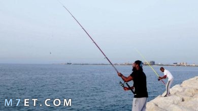 Photo of متى موسم صيد الأسماك في البحر الأحمر