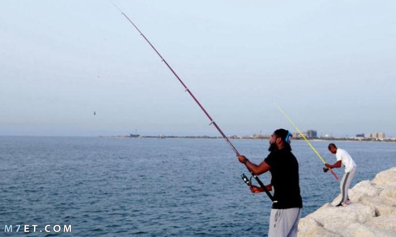 موسم صيد الأسماك في البحر الأحمر