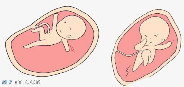 هل الجنين في الشهر الرابع يكون أسفل البطن