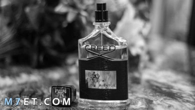 Photo of أهم المعلومات حول عطر كريد افينتوس