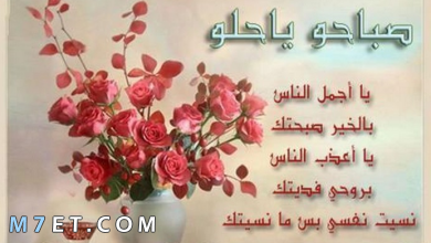 Photo of كلمات تقال في الصباح للحبيب