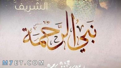 Photo of كلمات تهنئة المولد النبوي الشريف واجمل 100 رسائل تهنئة