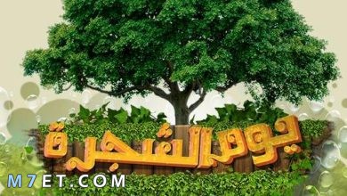 Photo of ما هي مظاهر الاحتفال بيوم الشجرة