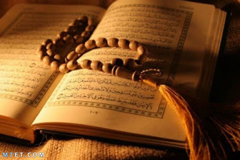 فضل قراءة القرآن