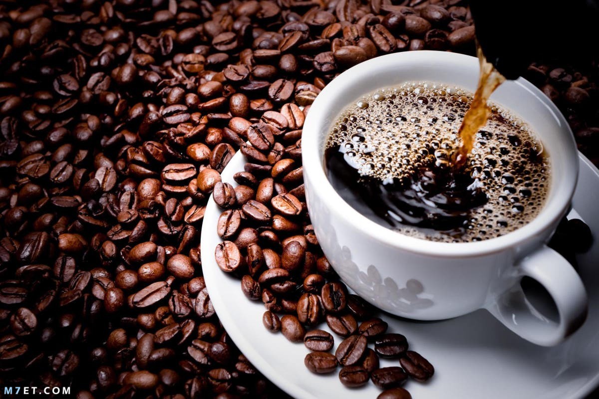 ما هي فوائد القهوة
