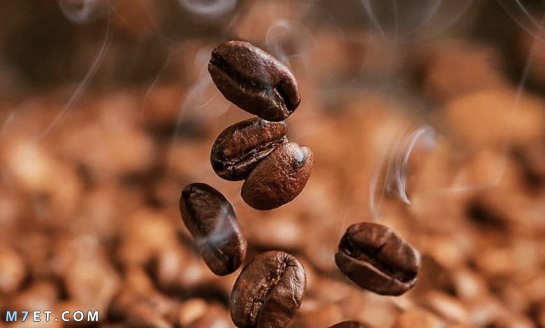 بحث عن القهوة | ما هي فوائد القهوة وأضرارها ومحاذير تناولها