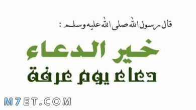 Photo of افضل دعاء يوم عرفة مكتوب مستجاب