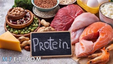 Photo of الأطعمة التي تحتوي على بروتين سريع الامتصاص