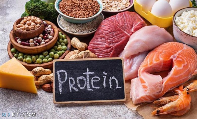 الأطعمة التي تحتوي على بروتين سريع الامتصاص