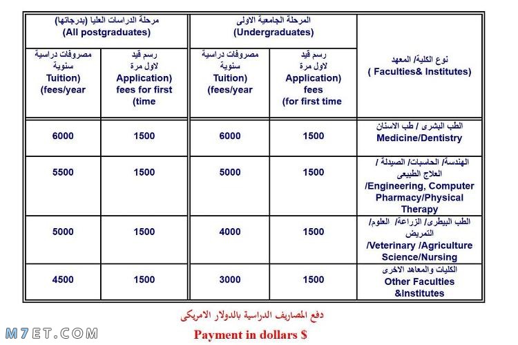 الرسوم الدراسية في الجامعات المصرية الحكومية للمستوى الجامعي (لغير المصريين)