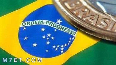 Photo of أم المعلومات حول اللغة البرازيلية