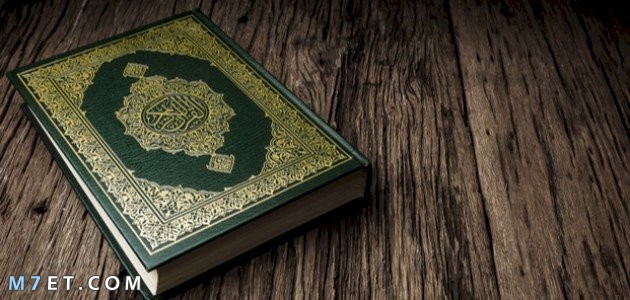 عدد صفحات القرآن