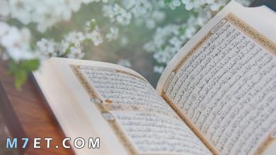 Photo of ما هو فضل قراءة القرآن
